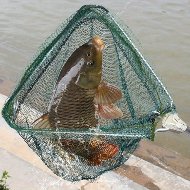 شبكة صيد سمك قابلة للطي مثلثة  - مراجعة Landing Net Telescopic وسعره