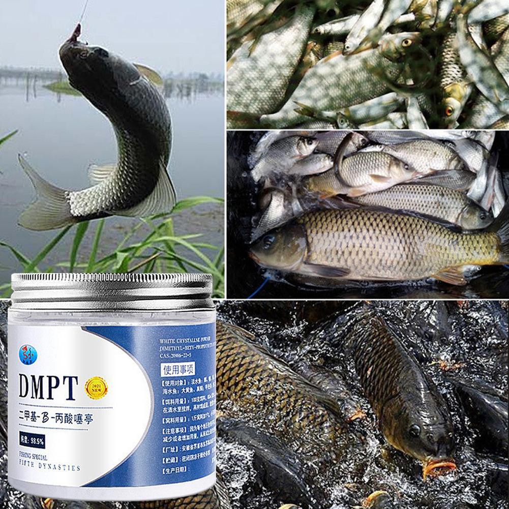 DMPT طعم صيد عالي النقاء مضاف  - مراجعة Fishing Equipment For Sale وسعره
