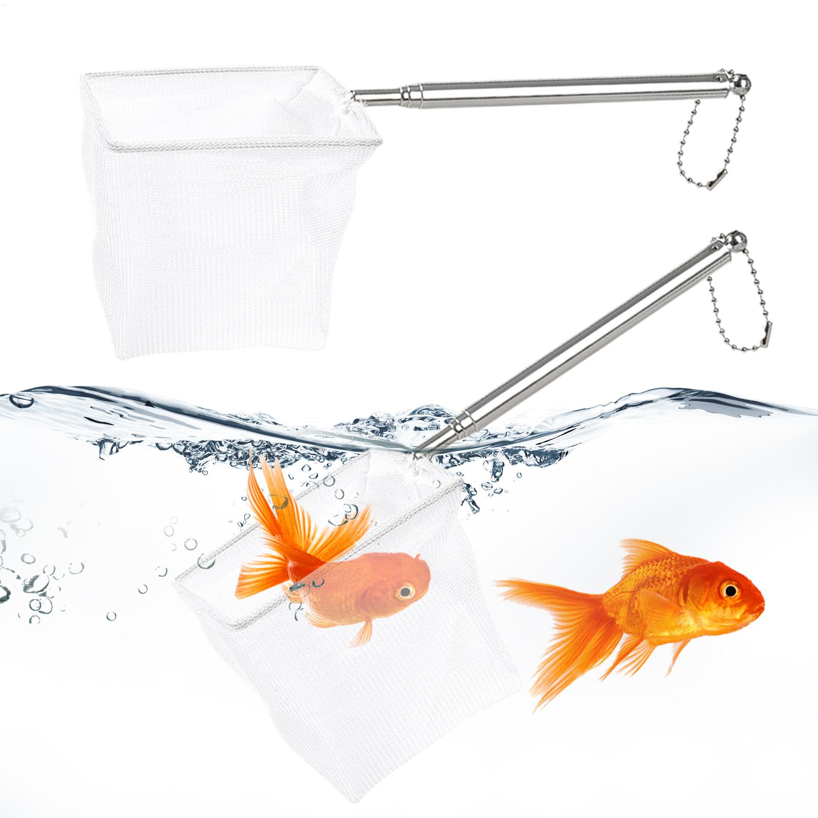 طقم من قطعتين: شبكة صيد سمك صغ - مراجعة Landing Net Telescopic وسعره